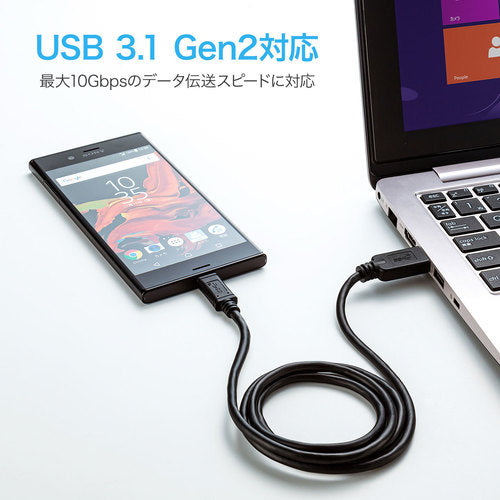 SANWA USB3.1Gen2TypeC-A 케이블 KU31-CA10 1개
