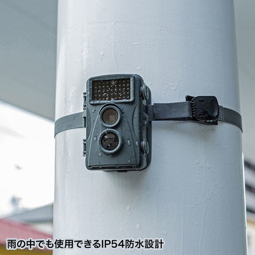 SANWA Security Camera CMS-SC01GY 1 unit