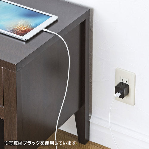 SANWA USB Charger (2 ports, total 2.4A, white) ACA-IP44W 1 piece