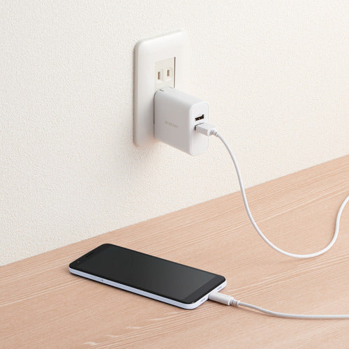 ELECOM AC Charger 24W USB Type-A (female) 2 ports A-C cable included MPA-ACC13WH 1 unit