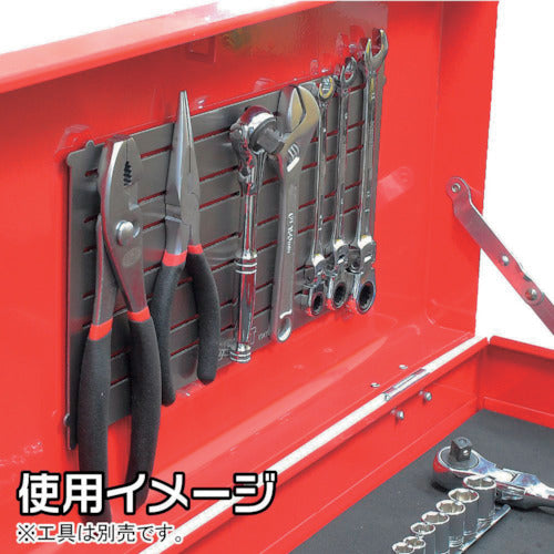 Astro Products Magnetic Tool Panel MP817 2003000008173 1 piece