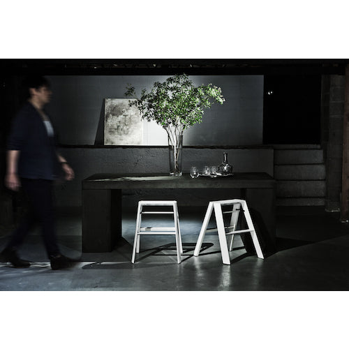 ハセガワ　踏台　ルカーノ　２ステップ　ホワイト（１７０１９）　ML2.0-2(WH)　1 台