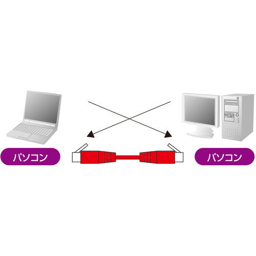 ＳＡＮＷＡ　カテゴリ６ＵＴＰクロスケーブル　KB-T6L-01BLCK　1 本