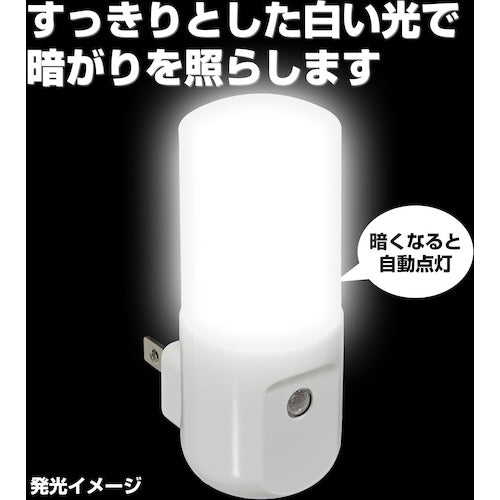 ELPA LED sensor light PM-L160(W) 1 piece