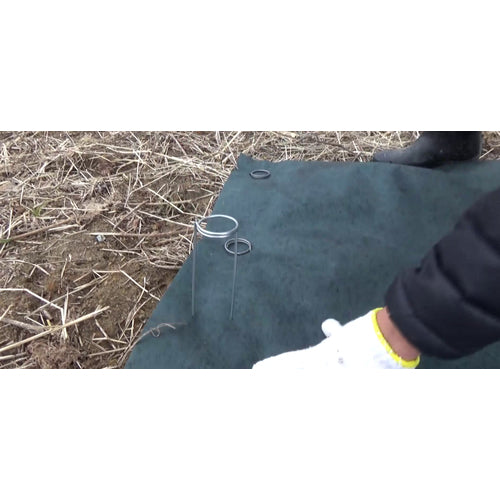 Asano Woodworks Flat Stakes 50XL150 65055 500 pieces