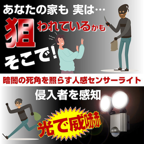 ELPA LED 센서 라이트 2등 ESL-SS1002AC 1개