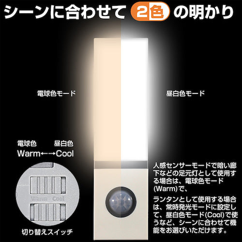 ＥＬＰＡ　ＬＥＤセンサー付ライト　PM-L702　1 個