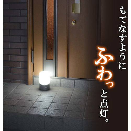 ＥＬＰＡ　もてなしライト・据置（大）　HLH-1202(DB)　1 個