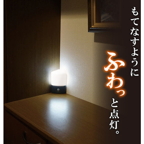 ＥＬＰＡ　もてなしライト　HLH-2202　1 個