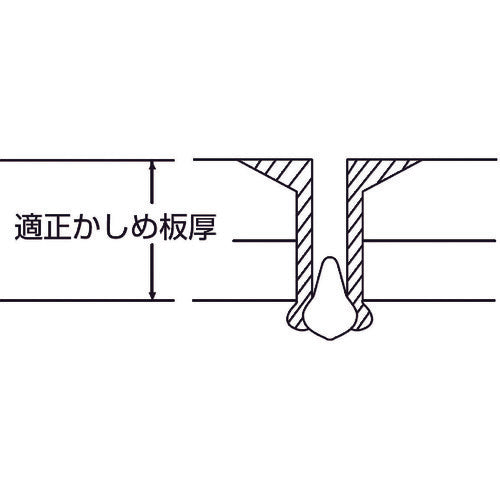 エビ　ブラインドリベット（皿頭）　アルミニウム／スティール製　６−５（３５本入）　エコパック　NSA65KMP　1 PK