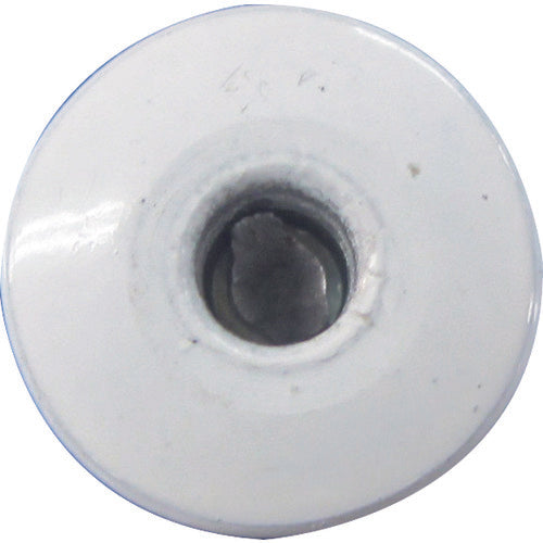 エビ　カラーブラインドリベット（ホワイト）　アルミ／スティール製　４−２（６５本入）　エコパック　CNSA42WMP　1 PK