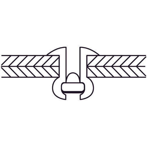 エビ　カラーブラインドリベット（ブロンズ）　アルミ／スティール製　４−２（６５本入）　エコパック　CNSA42BRMP　1 PK