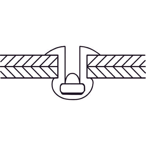 エビ　ブラインドリベット（シールドタイプ）　アルミニウム／スティール製　６−６（２５本入）　エコパック　NSA66CMP　1 PK