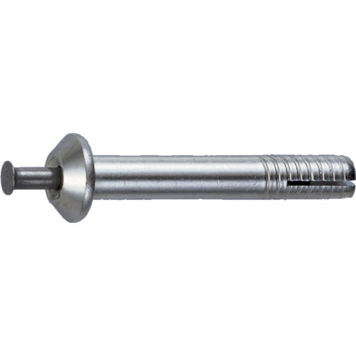TRUSCO All Anchor ST Type Stainless Steel 4X20 12 Pieces (Concrete Anchor/Core Rod Drive-in Type) ST-420BT 1 PK