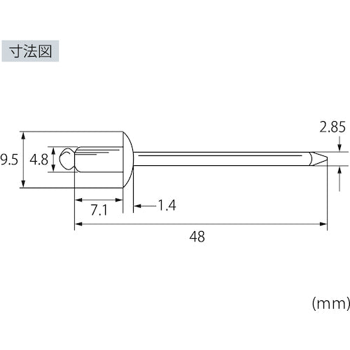 エビ　ブラインドリベット（ステンレス／スティール製）　６−２（１５本入）　エコパック　NSS62MP　1 PK