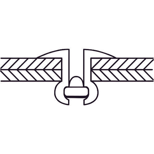 エビ　ブラインドリベット（ラージフランジ）　アルミニウム／スティール製　６−６（１２本入）　エコパック　NSA66LFMP　1 PK