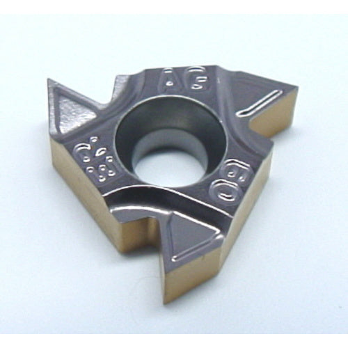 イスカル　５５°ねじ切りチップ　ＥＲ／Ｌ−５５°　ＩＣ９０８　16ERM AG 55　5 個