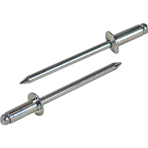 EBI Blind Rivet (Steel/Steel) 5-5 (40 pcs) Eco Pack NS55MP 1 PK