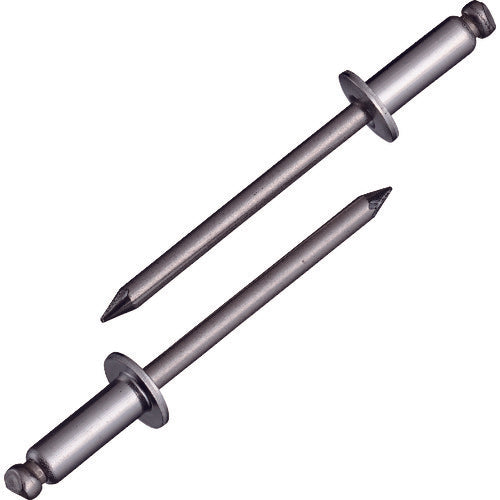 EBI blind rivet (stainless steel/stainless steel) 6-6 (15 pieces) Eco pack NST66MP 1 PK