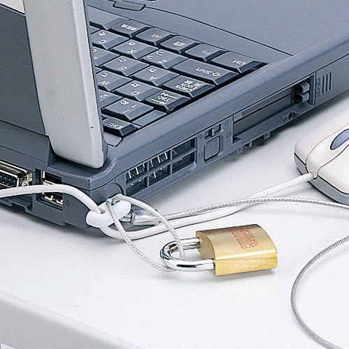 SANWA 노트북 &amp; 마우스 보안 SL-21K 1개