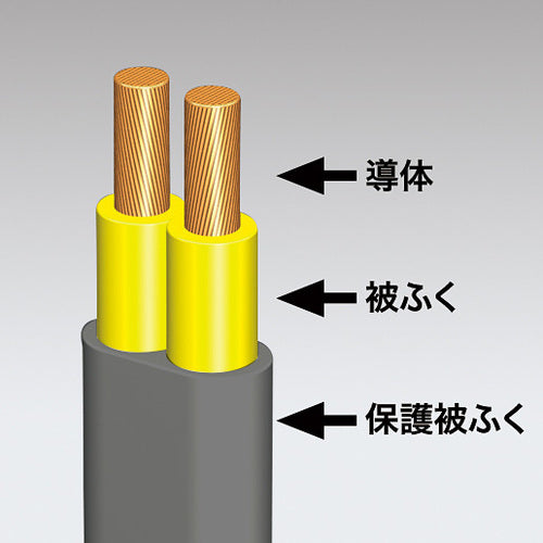 ＳＡＮＷＡ　火災予防安全タップ　TAP-TSH43BKN　1 本