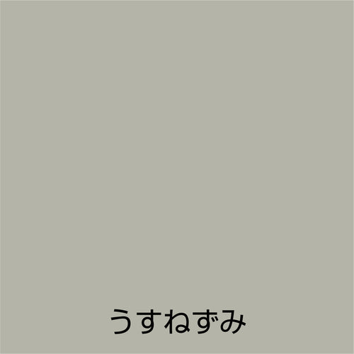 아톰 페인트 래커 스프레이 E 300ML 우스네즈미 00001-09964 1 개