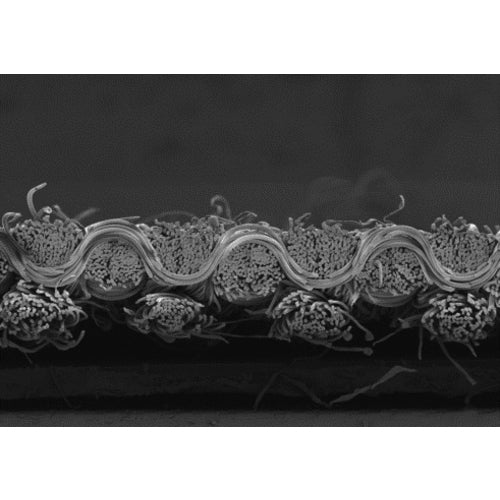 Sunpex Unisex Hopping Pants LT-793-A9-4L 1 unit