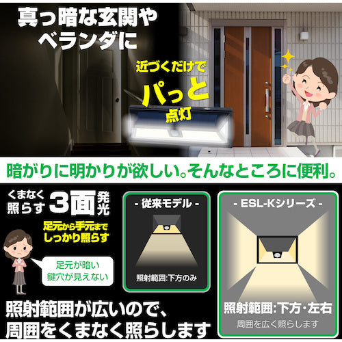 ELPA LED sensor wall light ESL-K412SL 1 piece