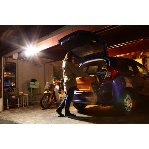 ＩＲＩＳ　５２２５０４　ソーラー式ＬＥＤ防犯センサーライト　LSL-SBTN-800　1 台