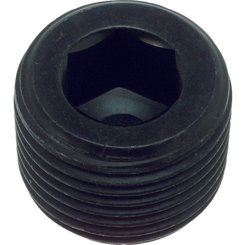 TRUSCO Tapered Floating Plug SP3 (Steel) Black Dye PT3/8 10 Pieces Y1083-0318 1 PK
