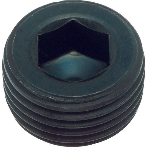 TRUSCO 테이퍼 침몰 플러그 SP2(스틸) 블랙 염색 PT3/4 2개입 Y1082-0314 1 PK