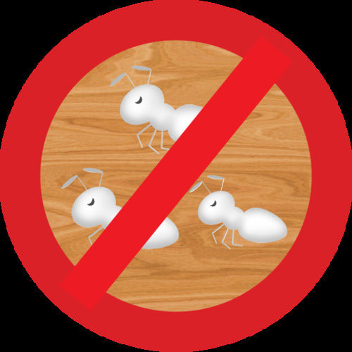 ABC 간이형 발포 우레탄 폼 1액 노즐＆건 타입 인설 팩