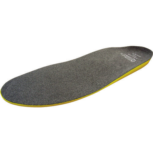 喜多　ｉｎｓｏｌｅ’ｓ　抗菌インソール　Ｎｏ６９１０　グレー　フリー（２５．０〜２８．０）　NO6910　1 足