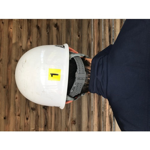 ＴＲＵＳＣＯ　数字ステッカー　５０×５０　「７」　黄色地／黒文字　３枚入　TSN-50-7-Y　1 組