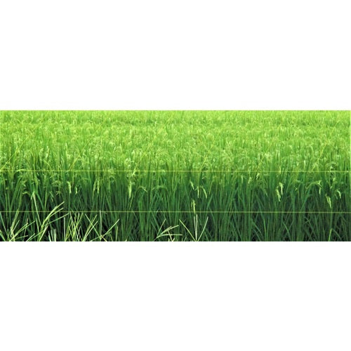 ＴＲＵＳＣＯ　防鳥用光る糸　イエロー　線径０．４４ｍｍｘ５００ｍ　BP500Y　1 巻