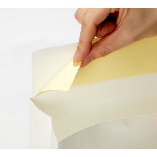 TRUSCCO 포장 택배 봉투 25장들이(중) 흰색 세로 420 x 가로 260 mm SGW-M 1 PK