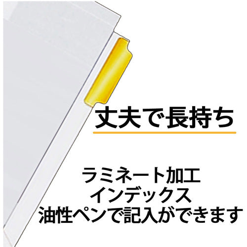 マルマン　ファイル用カラー　ラミネートタブインデックス　Ａ４　ラミタブ見出し　５山　LT4005　1 冊