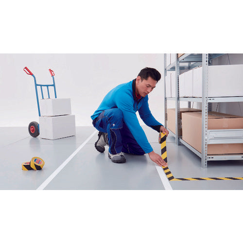 ｔｅｓａ　ラインテープ　テサ４１６９ＰＶ９３　トラ　５０ｍｍｘ３３ｍ　4169PV93-50-33TR　1 巻