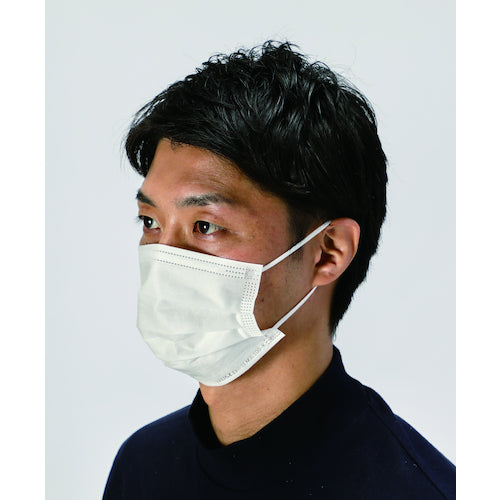 TRUSCCO 일반 작업용 마스크(귀걸이 타입) 3층(100장입개 포장) TEM3L100-K 1상자