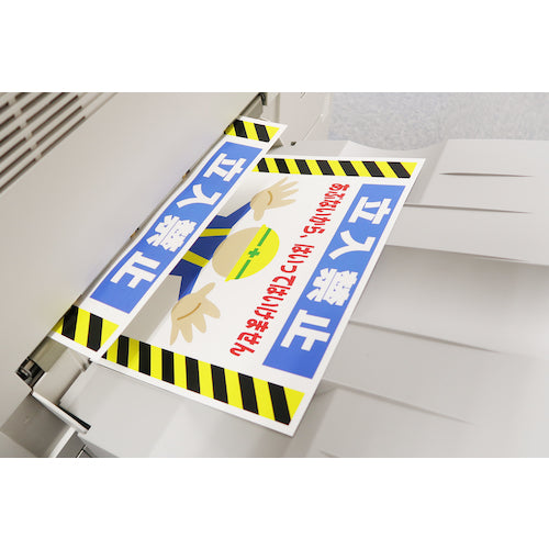 TRUSCCO 옥외용 라벨 씰 A4 황 10장입 AWLA4-10-Y 1권