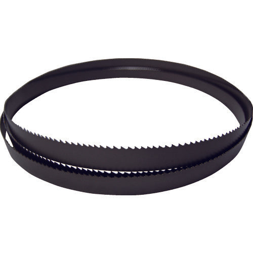 TRUSCO Carbide Cut-off Band Saw Total Length 4880 Width 41 Thickness 1.3 Number of Teeth 2/3 CB4880-4113-2/3 1 Piece