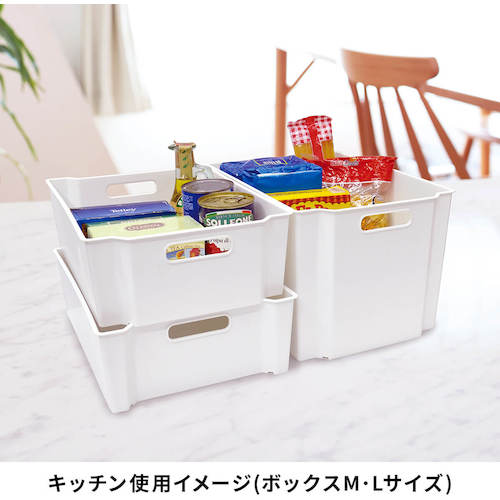 TENMA 수납 박스 FV 스키피타 박스 S 811000745 1개