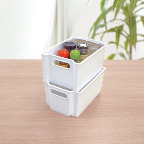 TENMA 수납 박스 FV 스키피타 박스 S 811000745 1개