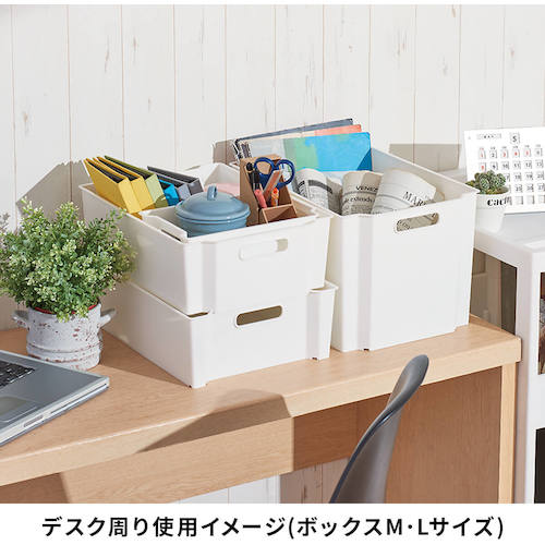 TENMA 수납 박스 FV 스키피타 박스 L 811000747 1개