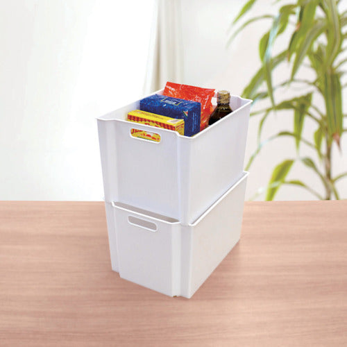 TENMA 수납 박스 FV 스키피타 박스 L 811000747 1개