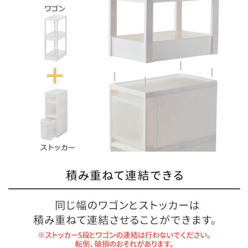 ＴＥＮＭＡ　ＦＶ　スキピタワゴン　ワイド４段　Ｗ−０３０Ｗ　811000975　1 台