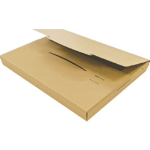 キングコーポ　ポストインカートン　Ａ４　５０枚入　190431　1 箱