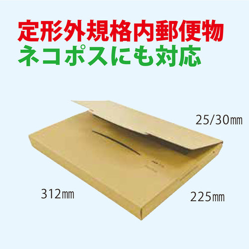 キングコーポ　ポストインカートン　Ａ４　５０枚入　190431　1 箱