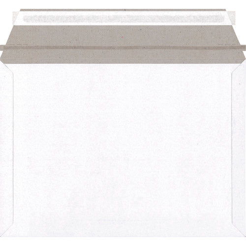 King Corp. Business Bag Small 25 pieces (310 x 225) KBB007 1 PK