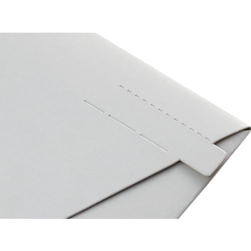 King Corp. Business Bag Small 25 pieces (310 x 225) KBB007 1 PK